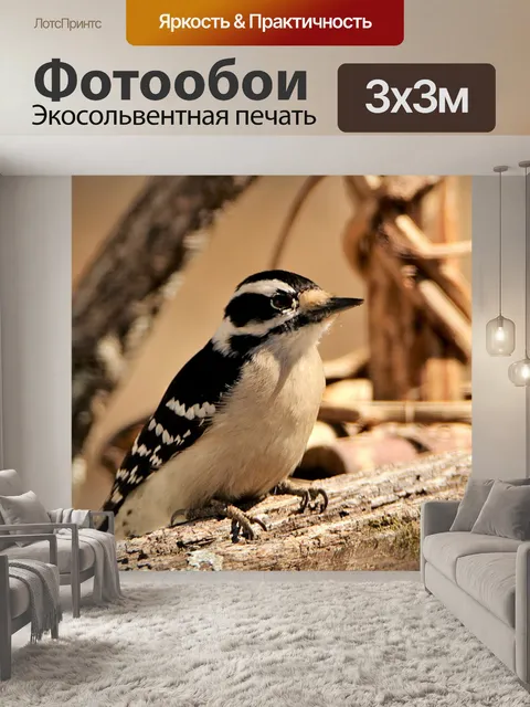Фотообои Пушистый дятел Крупный план 2