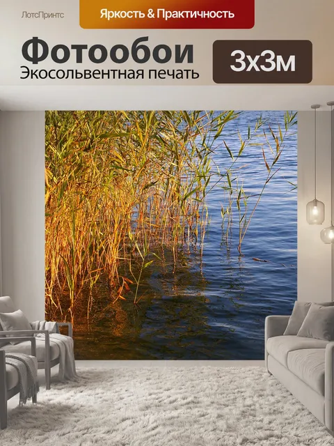 Фотообои Тростник