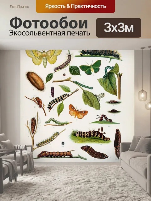 Фотообои гусеница бабочка винтажное искусство