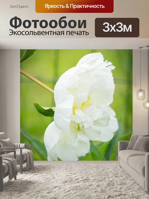 Фотообои Пион