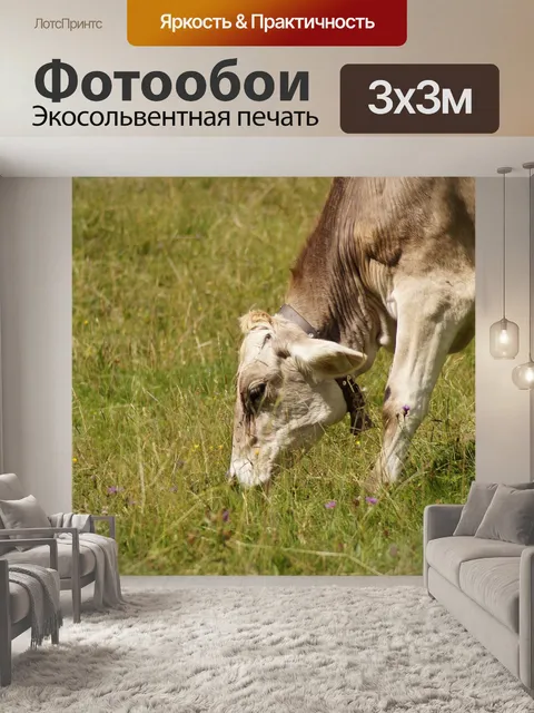 Фотообои Выпас коровы