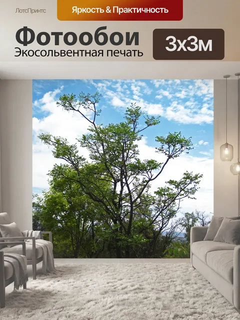 Фотообои высокое дерево с зеленой листвой