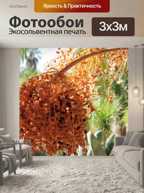 Фотообои Дата пальмы в солнечном свете