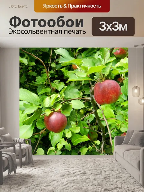 Фотообои Яблоко сезон (1)