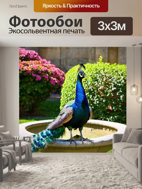 Фотообои с павлином, стоящим на старинном каменном фонтане, вокруг которого растут цветущие кустарники, солнечные…