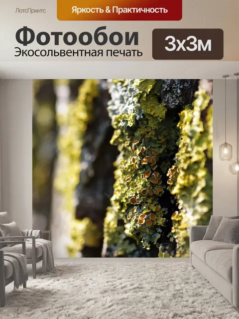 Фотообои Желтый лишайник