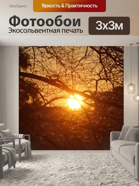 Фотообои Солнце