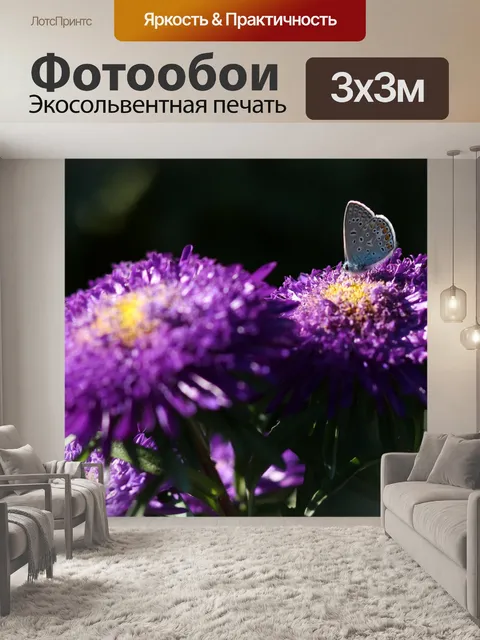 Фотообои Бабочка