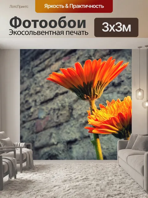 Фотообои Два цветка