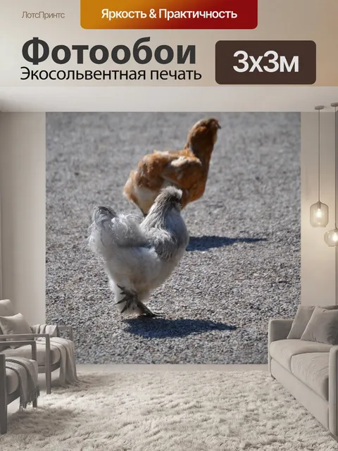 Фотообои Seidenhuhn