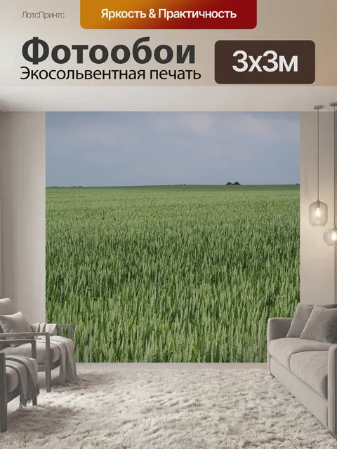 Фотообои Пшеничное поле