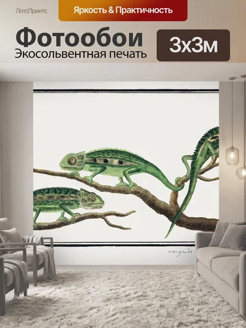 Фотообои Винтажный старый иллюстрационный хамелео