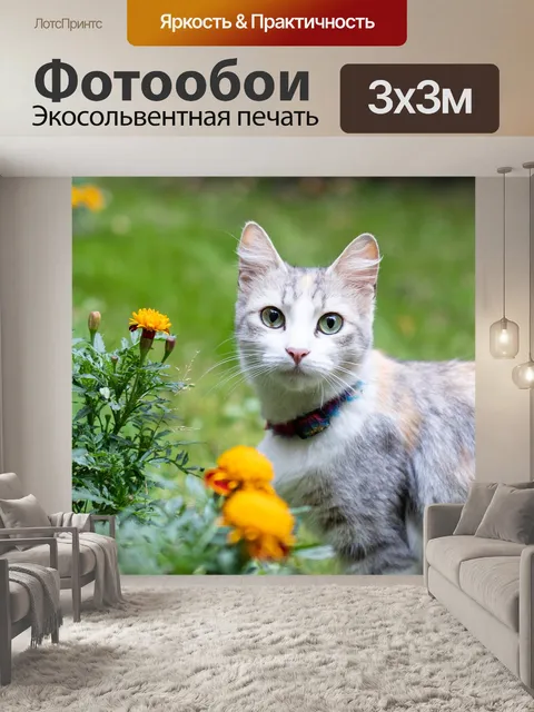 Фотообои Кошка
