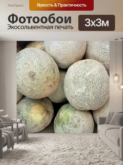Фотообои пади кучу
