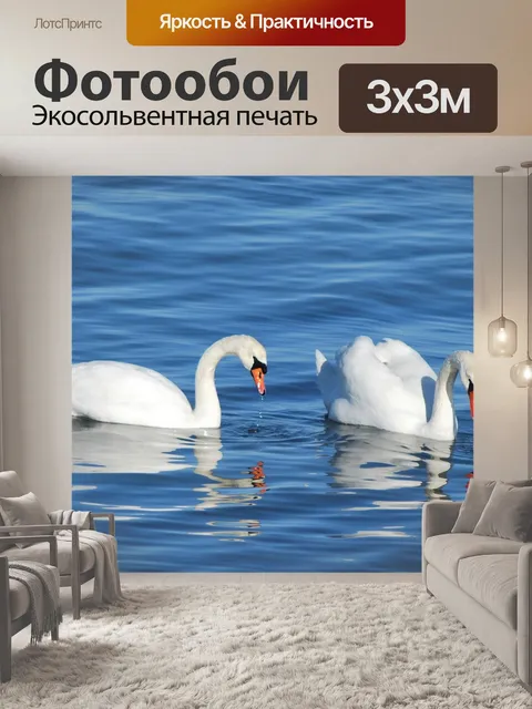 Фотообои Лебеди
