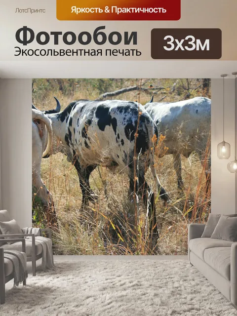 Фотообои серый скот нгуни