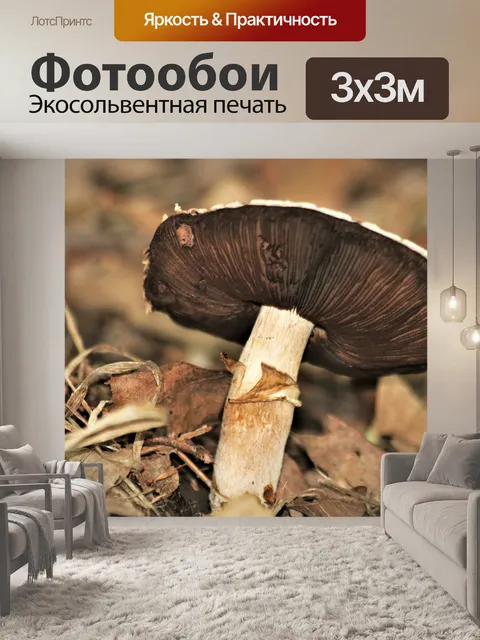 Фотообои Белый гриб с черными жабрами