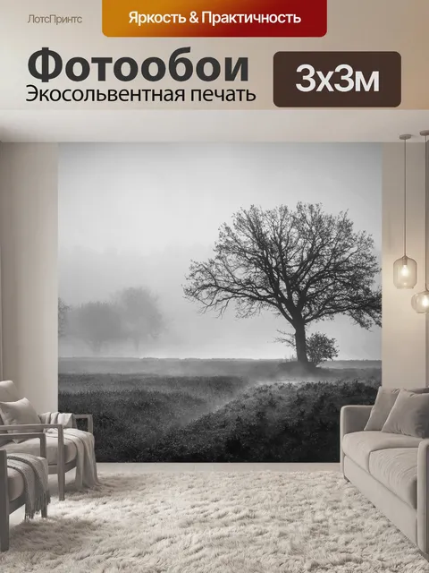 Фотообои Дерево Раннее утро Туман