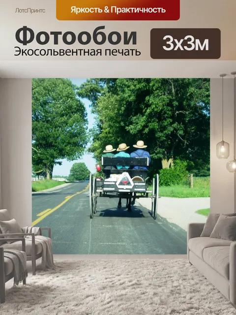Фотообои Амиш
