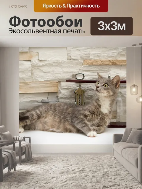Фотообои Кот