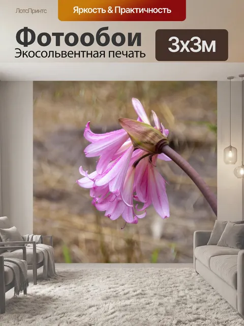 Фотообои Розовые лилии