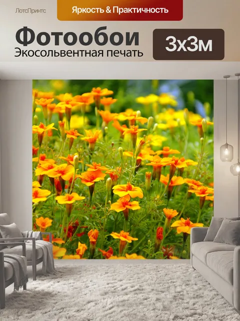 Фотообои Бархатцы цветок календулы фото