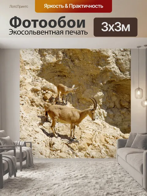 Фотообои Мать-олень с двумя оленями