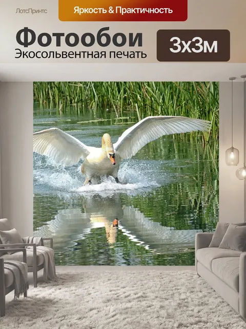 Фотообои Лебедь