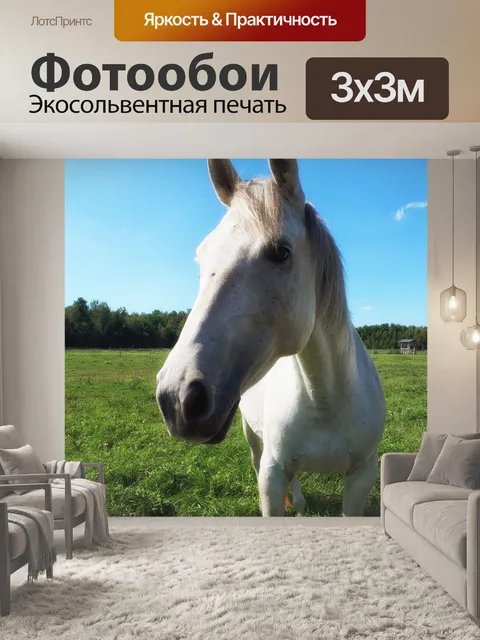 Фотообои Белая лошадь