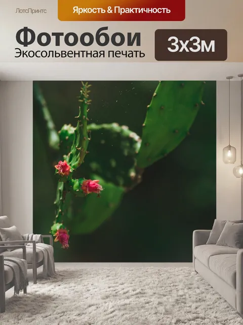 Фотообои Кактус