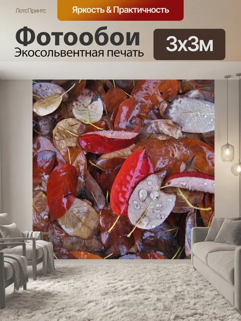 Фотообои Мокрые листья