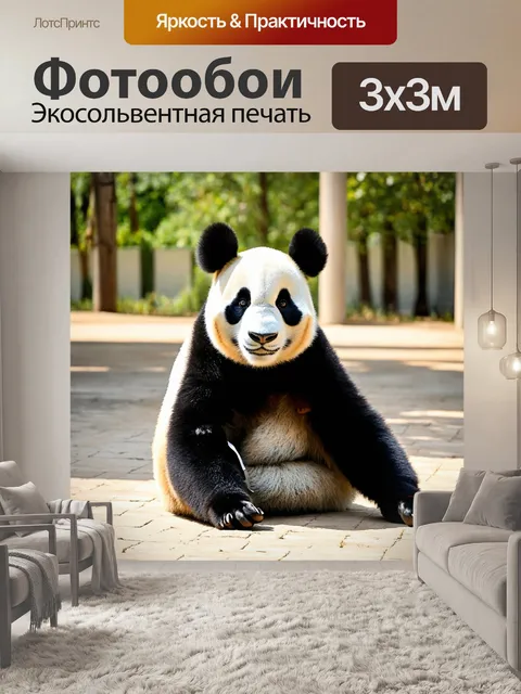 Фотообои панда каратист, делая перерыв после тренировки, с солнечным светом вокруг неё