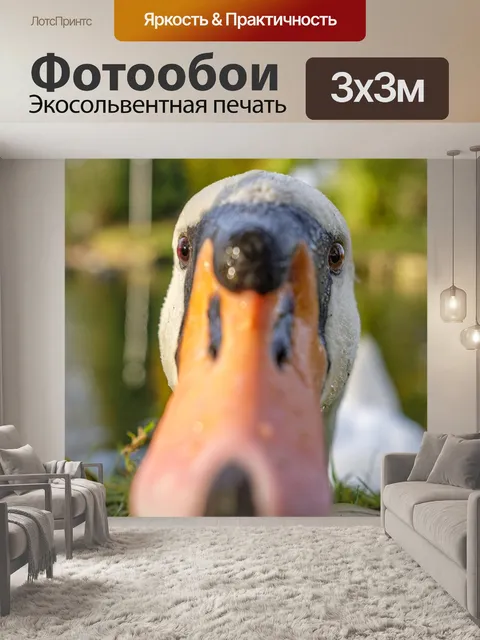 Фотообои Посмотреть