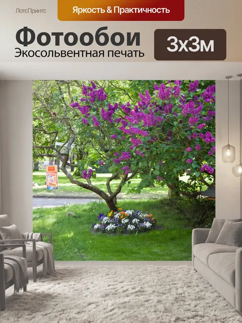Фотообои Фон