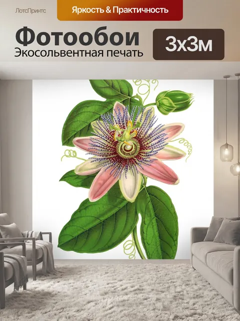 Фотообои Цветочное розовое винтажное искусство