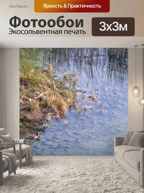Фотообои Утки Маллард