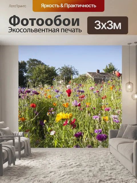 Фотообои Цветы в Луг