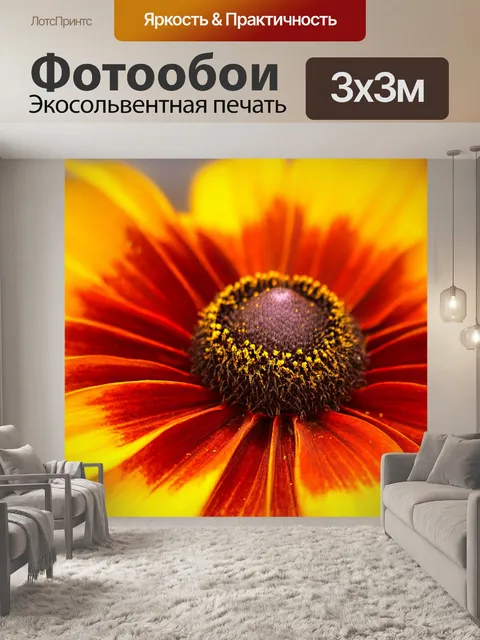 Фотообои Эхинацея цветок цветущий многолетник
