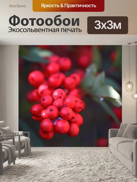 Фотообои влажные красные ягоды на священном бамбу