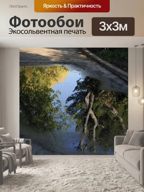 Фотообои Деревья, отражение в воде