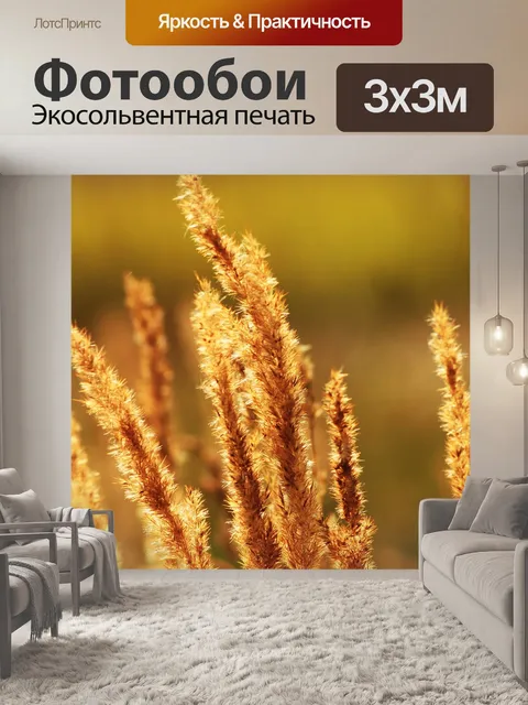 Фотообои Макро