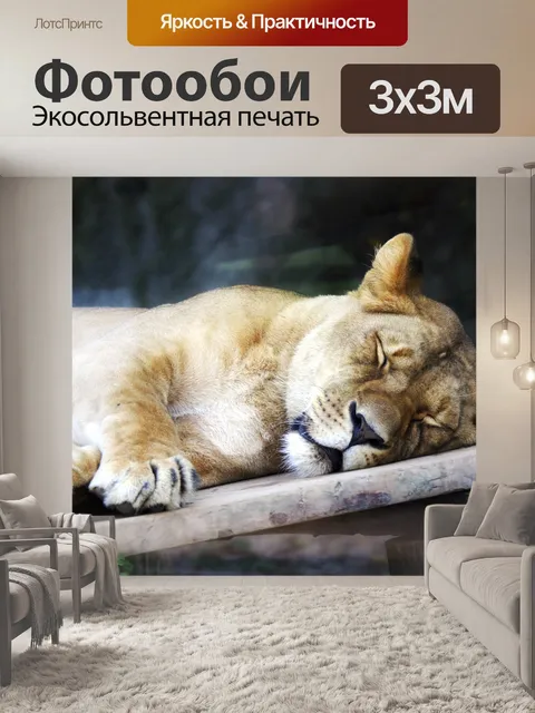 Фотообои Левый