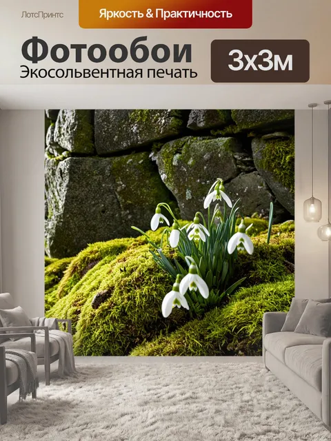 Фотообои подснежники на фоне старинного каменного забора, обвитого лишайниками и лишайниками