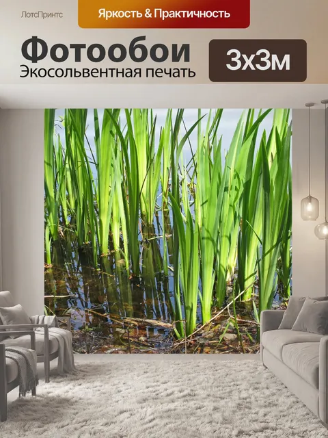 Фотообои Озеро
