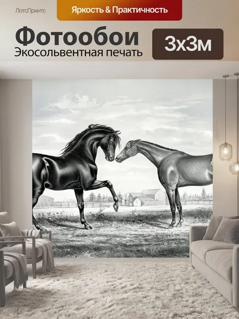 Фотообои Черный Жеребец Лошадь