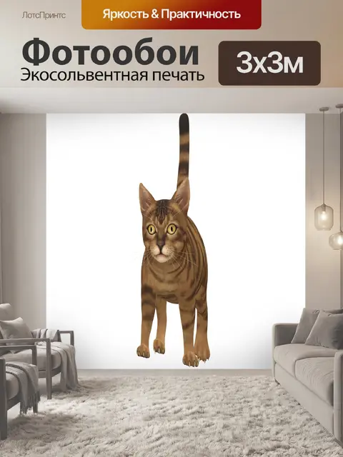 Фотообои 3d-рисунок кота