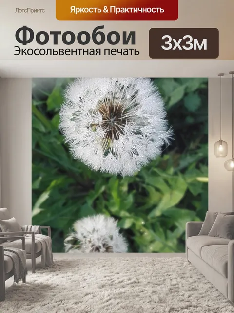 Фотообои Одуванчик