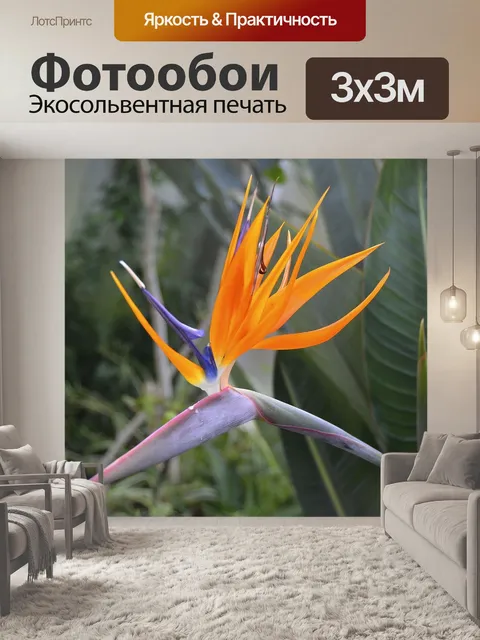 Фотообои Райская птица цветок
