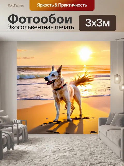 Фотообои гибридная белая овчарка, играющая на золотом песке пляжа, на фоне яркого заката