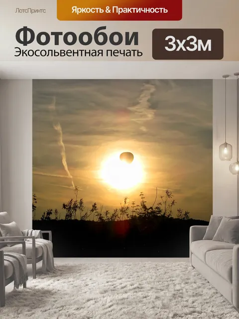 Фотообои Воздушный шар